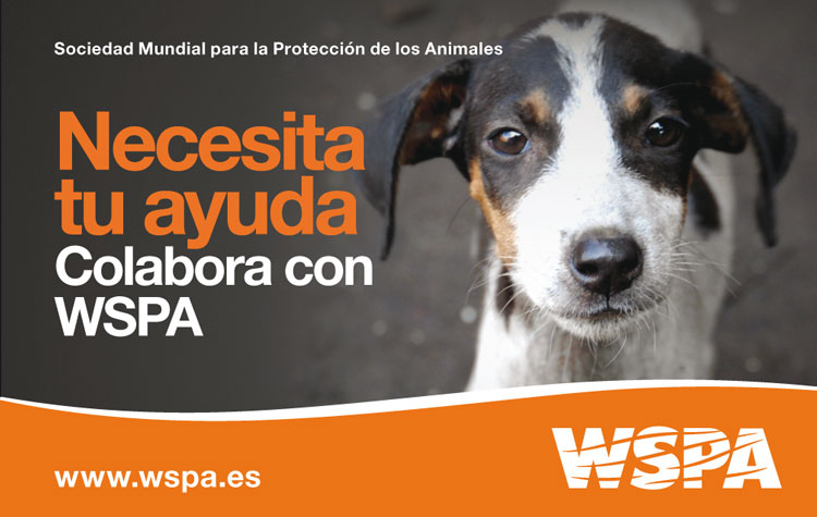 wspa